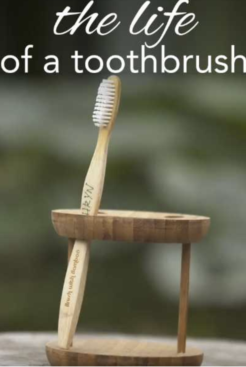 Life of a toothbrush