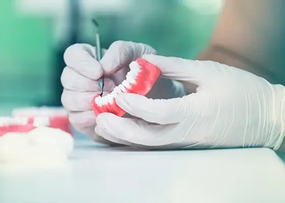 Dental professional holding a full denture during an adjustment